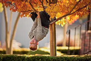 Sweater Prints: Boy hanging upside down from the tree