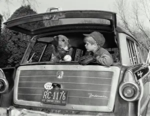 Adult Animal Prints: Boy sitting in a car with his dog