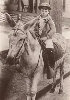 One Boy Only Prints: Boy sitting on donkey