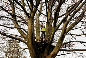 Gradeschooler Prints: boy standing in a beautiful tall tree in a high tree house