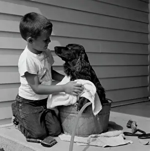 Jeans Prints: Boy washing dog in bowl