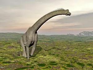 Extinct Prints: Brachiosaurus dinosaur walking in grassy landscape