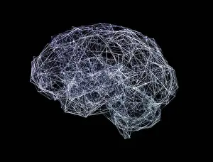 Network Prints: Brain shaped network, illustration