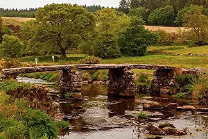 Environmental Reserve Prints: Bridge, Postbridge, Dartmoor, Devon, England, United Kingdom, Europe