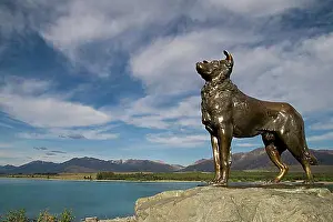 Domestic Dogs Prints: Bronze statue of a sheepdog, Lake Tekapo