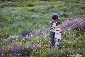 Mixed Prints: Two brothers playing on a field of wild flowers