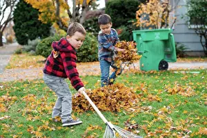 1 2 Years Old Prints: Brothers working together to rake leaves in yard