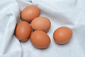 Still Lifes Prints: Brown chicken eggs, egg