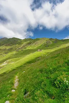 Alps Prints: The bucolic landscape of Val Mastellone in summer