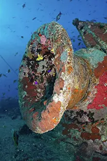 Underwater Prints: Buffers from the tender of a steam locomotive on the loading area of the Thistlegorm