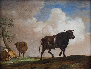Livestock Prints: The bull; 1649 Paulus Potter; Dutch (1625 Enkhuizen -1654 Amsterdam)