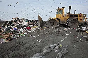 Gathers Prints: A bulldozer levels and compacts garbage at St