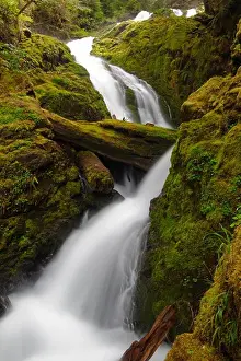 Rainforest Prints: Bunch Falls splashing over black rocks