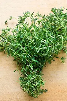 Care Wellness Prints: A bunch of fresh herbs, marjoram, Healthy Food