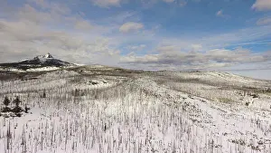 Woods Prints: Burned forest below a mountain called Three Figered Jack in Oregon territory