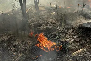 Global Prints: Burning of illegal landfill. Smoke and fire. Fire in street