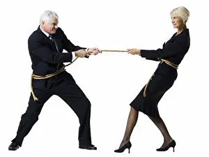 Businesswomen Prints: Businessman and businesswoman in a tug of war
