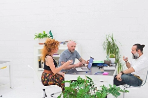 Gifted Prints: Businessmen and woman having discussion at office meeting