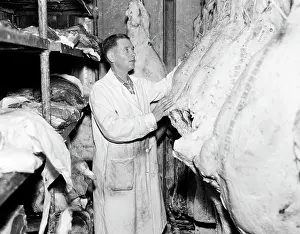 Butcher Prints: Butcher inspecting beef at butcher's shop