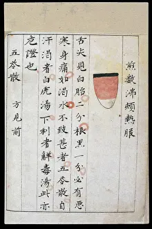 Chart Prints: C14 Chinese tongue diagnosis chart