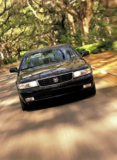 Head On Prints: Cadillac Seville STS Northstar 2001 black dappled light trees nose head on street city