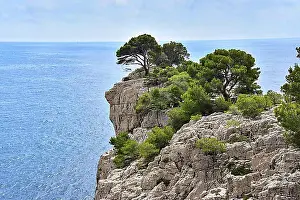 Coast Prints: At the Calanque Port Pin near Cassis on the Cote d'Azur in Provence, France, Europe
