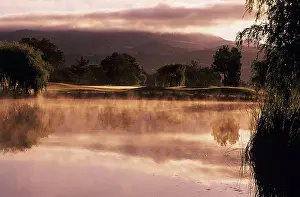 Golf Prints: California, Sonoma, Sonoma Golf Course, Reflections on misty pond at sunrise