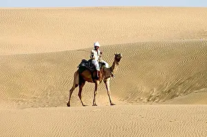 Barrenness Prints: Camel rider travelling in the Thar desert