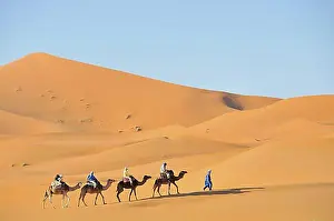 Northern Africa Prints: Camel trekking, Erg Chebbi, Morocco, Africa