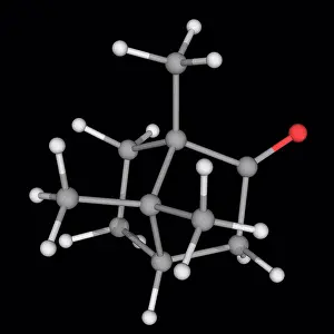 Matter Prints: Camphor, molecular model. Waxy