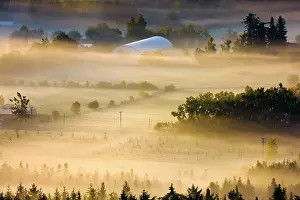 Vancouver Island Prints: Canada, British Columbia, Saanich Penisula, rural scene in fog