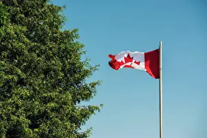 White Color Prints: Canada, Ontario, Canadian flag against clear sky and tree