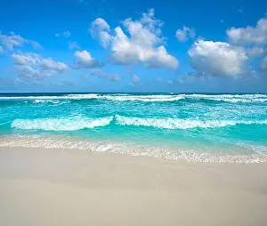 Shores Prints: Cancun Delfines Beach at Hotel Zone of Mexico