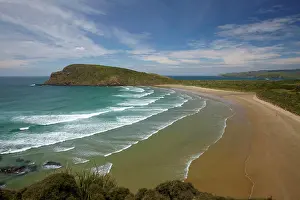South Island Prints: Cannibal Bay, Catlin District, South Otago, South Island, New Zealand