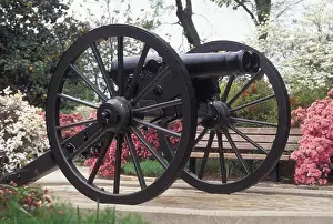 Southern Prints: cannon, Athens, GA, Georgia, Double barrelled cannon outside City Hall in Athens in the spring