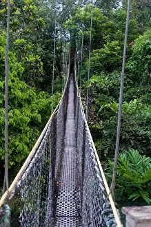 Dangerous Prints: Canopy walkway at Atta Rainforest Lodge near Iwokrama, Guyana, South America