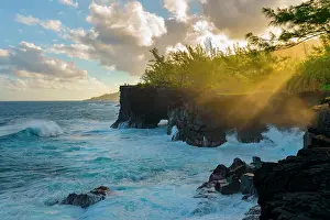 Woody Plant Prints: Cape Mechant, Indian Ocean, Saint-Philippe, Reunion Island, France