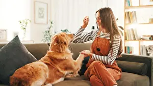 Adoption Prints: Care, training or happy woman on couch with dog