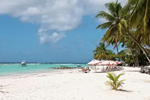 Caribbean Prints: Carib Beach, Barbados, Windward Islands, West Indies, Caribbean, Central America
