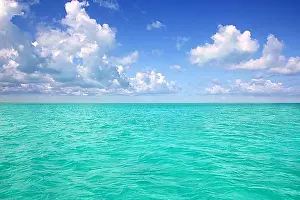 Good Weather Prints: Caribbean sea horizon on blue sky cumulus vacation day perfect paradise