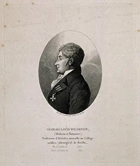 Carl Prints: Carl Ludwig Wildenow. Stipple engraving by A. Tardieu after himself