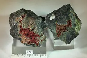 Mineral Prints: Carminite. minerals. North America; USA; Utah; Juab County; Tintic District, Eureka