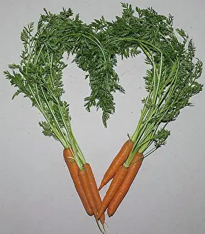 Vegetables Prints: Carrot (Daucus carota), carrot, carrot, carrot, turnip, riebli or root, as a heart