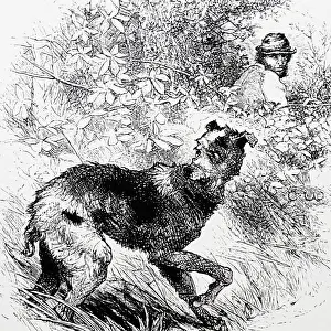 Cartoon Prints: Cartoon depicting a poacher with his lurcher