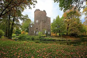Natural Preserve Prints: Castle ruins in Wilhelmsbad State Park