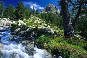 Rocks Prints: Catalonian mountain landscape with mountain stream, Catalonia, Spain