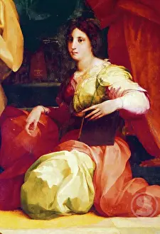 Florence Prints: Catherine de Medici by Rosso Fiorentino
