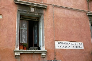 Cats Prints: Cats in a window. Venice. Italy