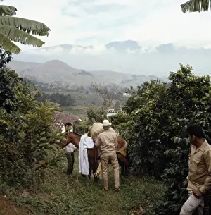 Sseditor Scp Prints: Cauca River Valley Colombia