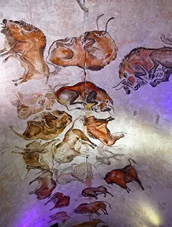 Located Prints: Cave painting found in the Cave of Altamira